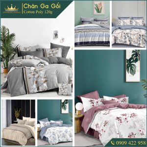 Bộ chăn ga gối Cotton Poly 120g 5 món