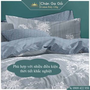 Bộ chăn ga gối 5 món Cotton AL2-3-4 dành cho nệm giường decor trang trí phòng ngủ vỏ chăn hoặc chăn chần bông nhiều size - Ảnh 7