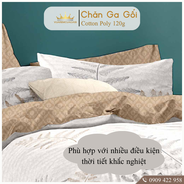 Bộ chăn ga gối 5 món CottonAL02-3-6 dành cho nệm giường decor trang trí phòng ngủ decor phòng, vỏ chăn hoặc chăn chần bô - Ảnh 7