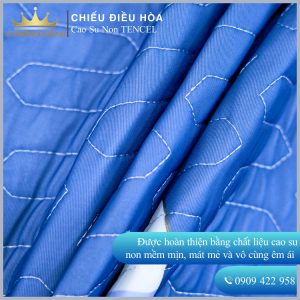 Chiếu Điều Hòa Vải Tencel Cá Heo Xanh Cao Su Non bo chun chân cao 35cm, hàng loại 1 nặng và dày trang trí - Ảnh 4