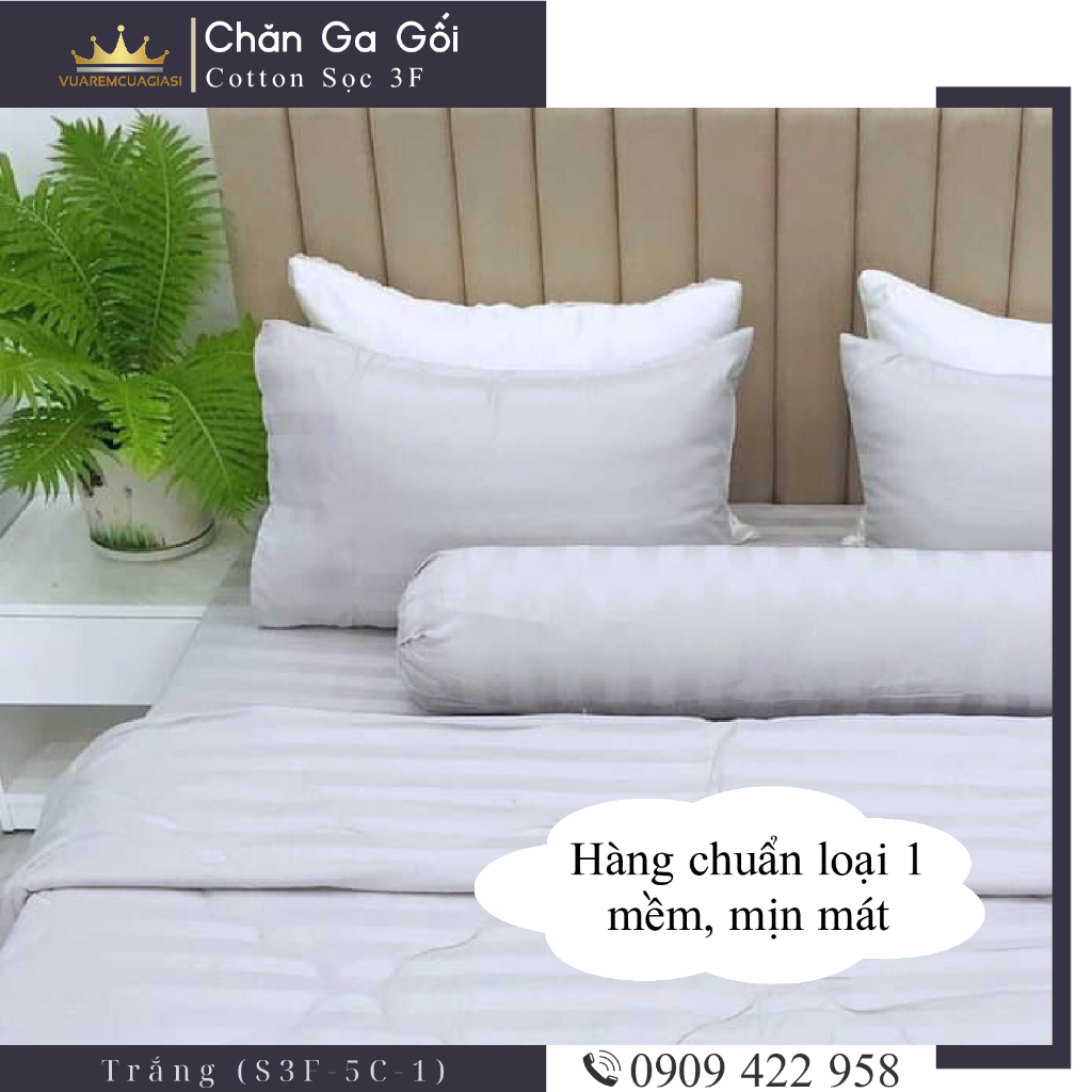 Bộ ga giường 5 món cotton kẻ sọc 3f chuyên dùng cho khách sạn miễn phí bo chun VUAREMGIASI - Ảnh 3