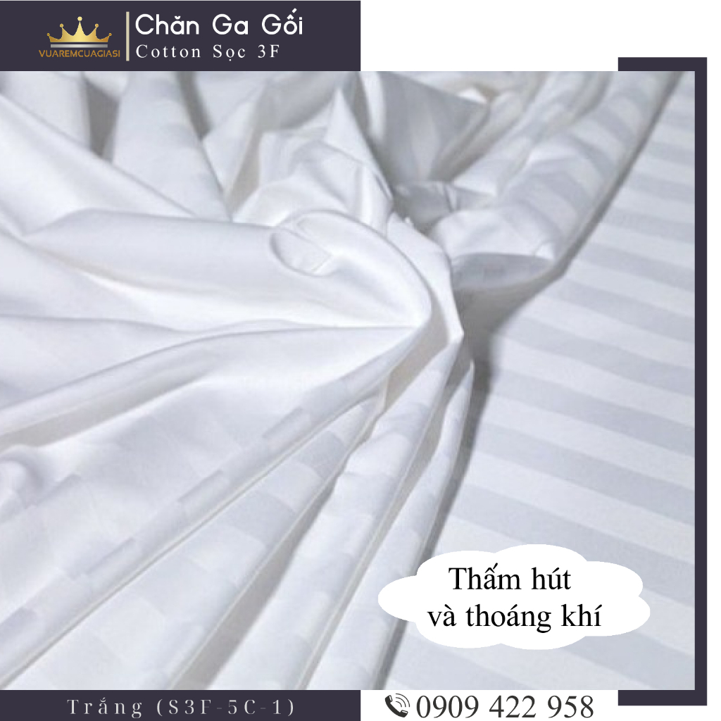 Bộ ga giường 5 món cotton kẻ sọc 3f chuyên dùng cho khách sạn miễn phí bo chun VUAREMGIASI - Ảnh 4