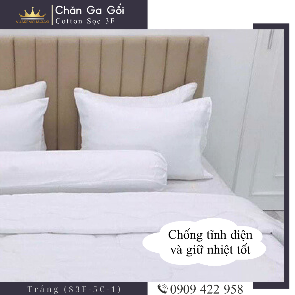 Bộ ga giường 5 món cotton kẻ sọc 3f chuyên dùng cho khách sạn miễn phí bo chun VUAREMGIASI - Ảnh 5