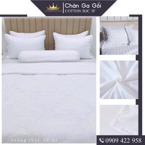 Bộ ga giường 3 món cotton kẻ sọc 3f đủ màu chuyên dùng cho khách sạn đủ màu miễn phí bo chun VUAREMGIASI