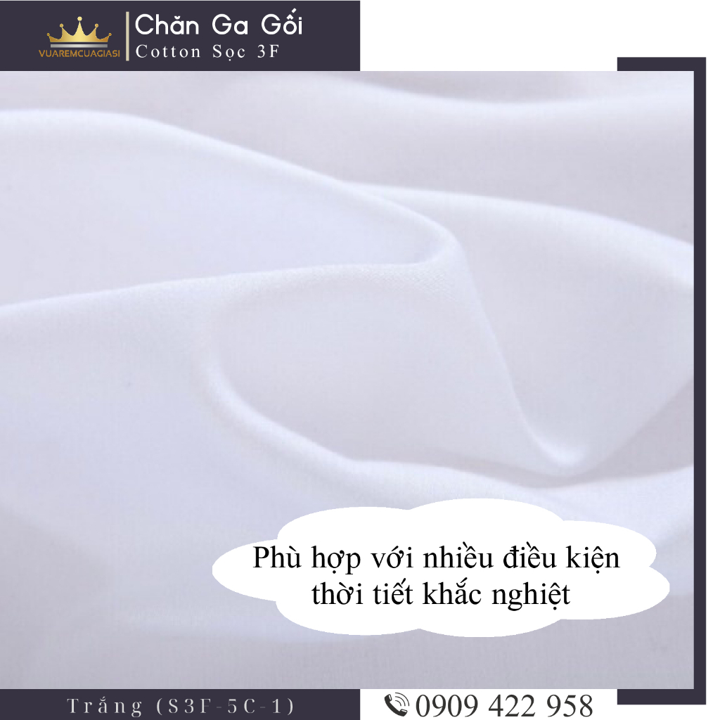 Bộ ga giường 5 món cotton kẻ sọc 3f chuyên dùng cho khách sạn miễn phí bo chun VUAREMGIASI - Ảnh 7
