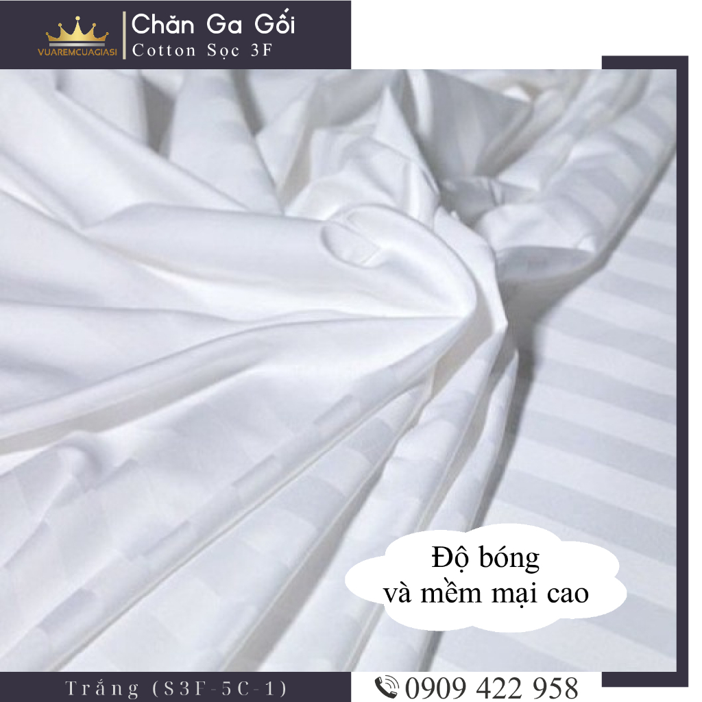 Bộ ga giường 5 món cotton kẻ sọc 3f chuyên dùng cho khách sạn miễn phí bo chun VUAREMGIASI - Ảnh 6